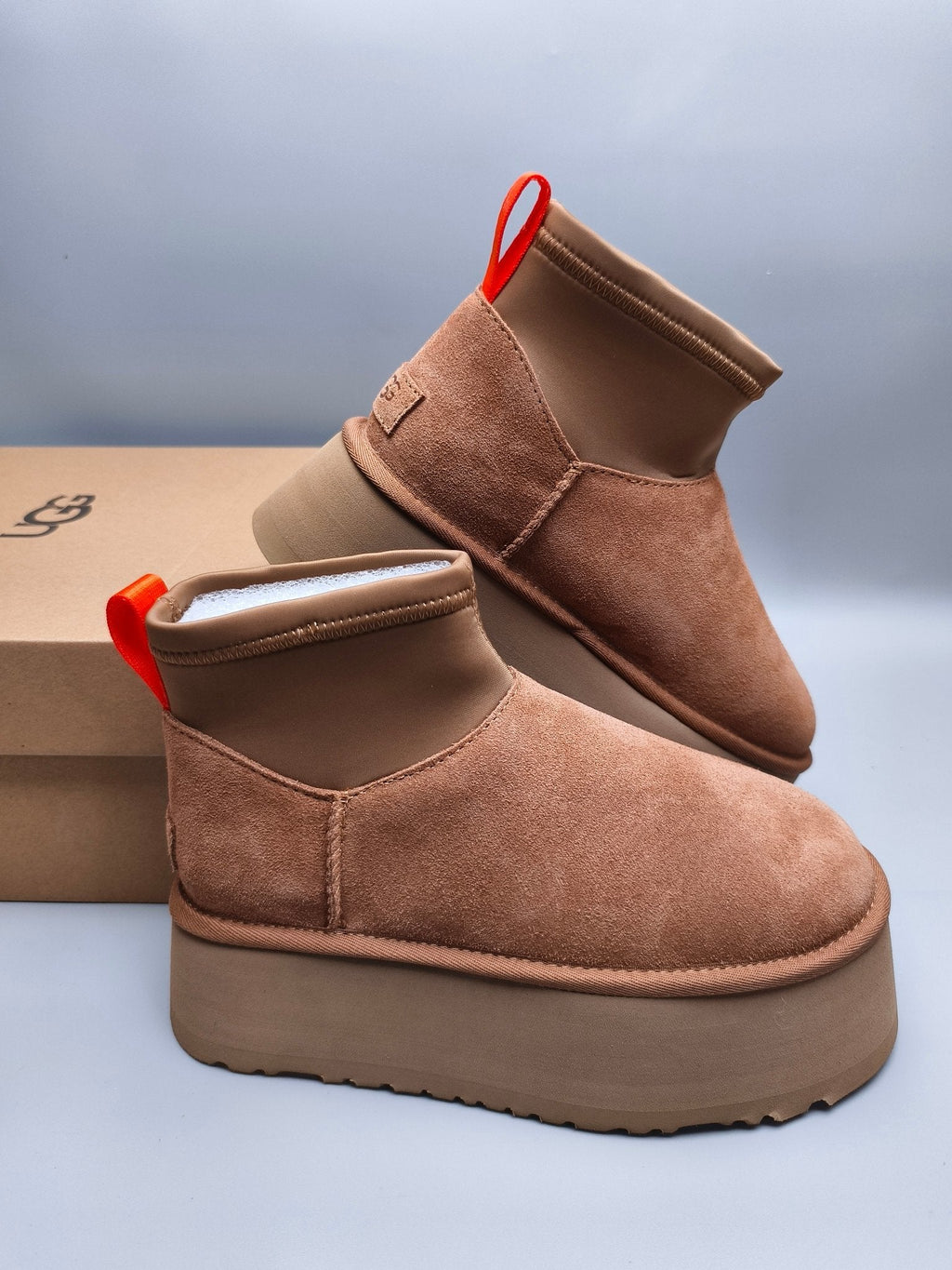 Chestnut Platform Elastic Low-Top Casual Shoes — New Arrival | In Stock